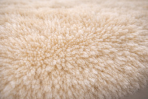 ムートン羊毛の密度がわかる毛並み